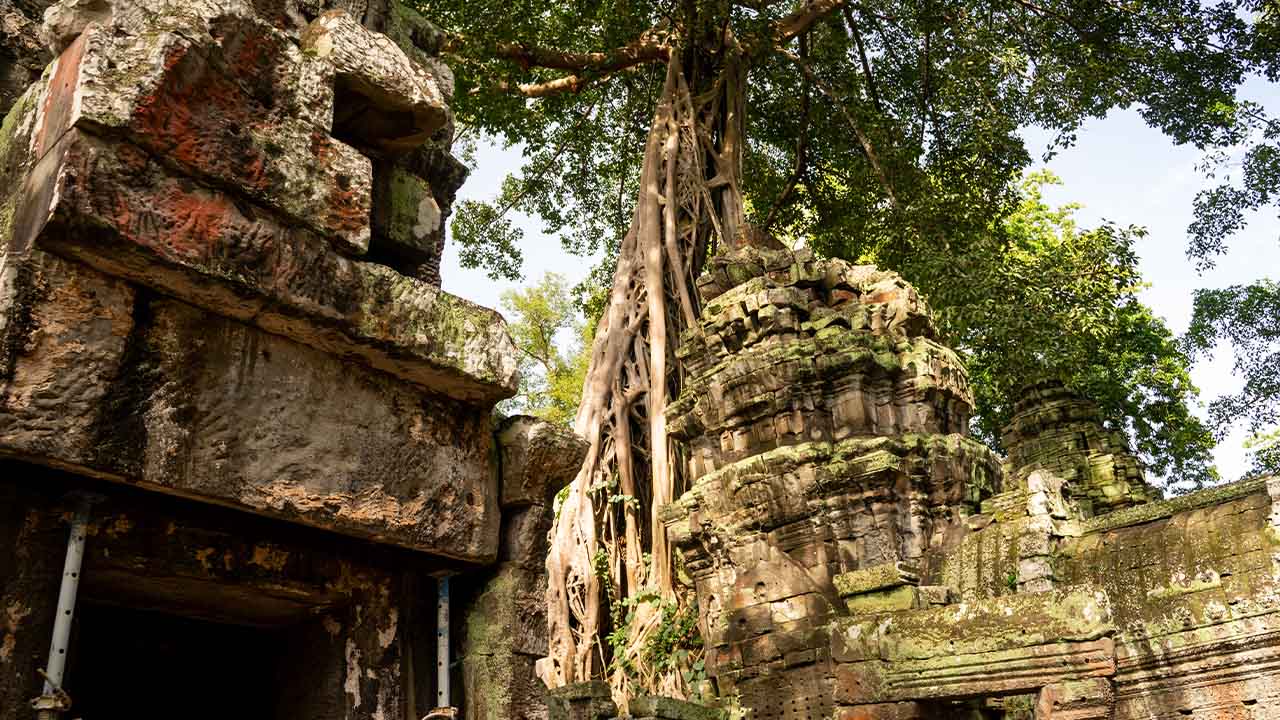 Ta Prohm Temple Siem Reap Cambodia